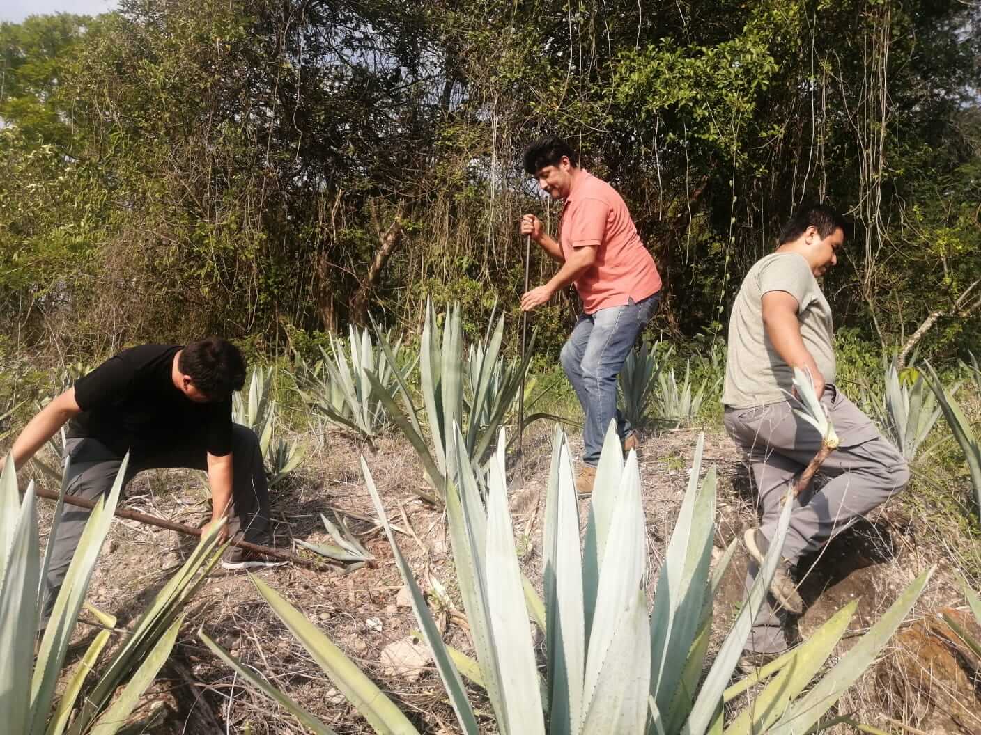 Imagen 2